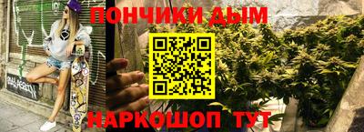 spice Кунгур