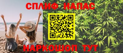 spice Кунгур