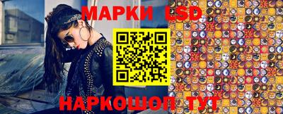 spice Кунгур