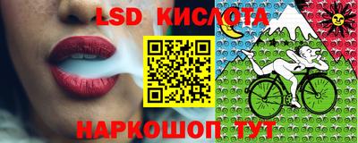 spice Кунгур