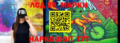 spice Кунгур