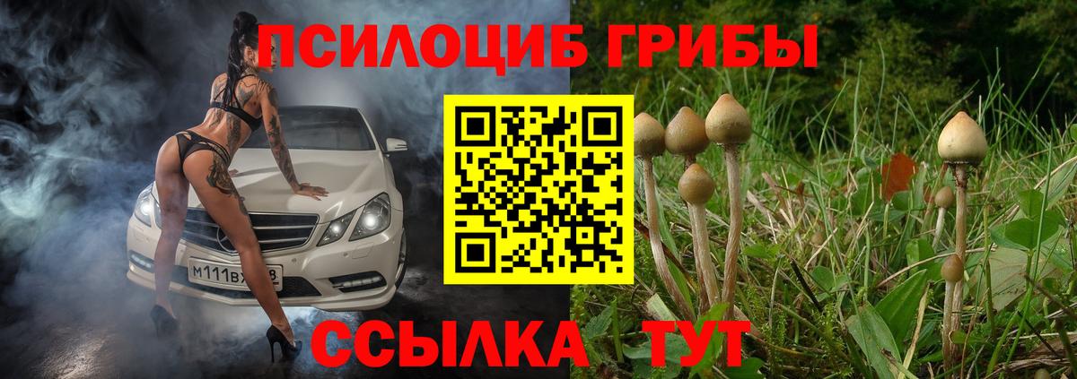 Псилоцибиновые грибы GOLDEN TEACHER Знаменск